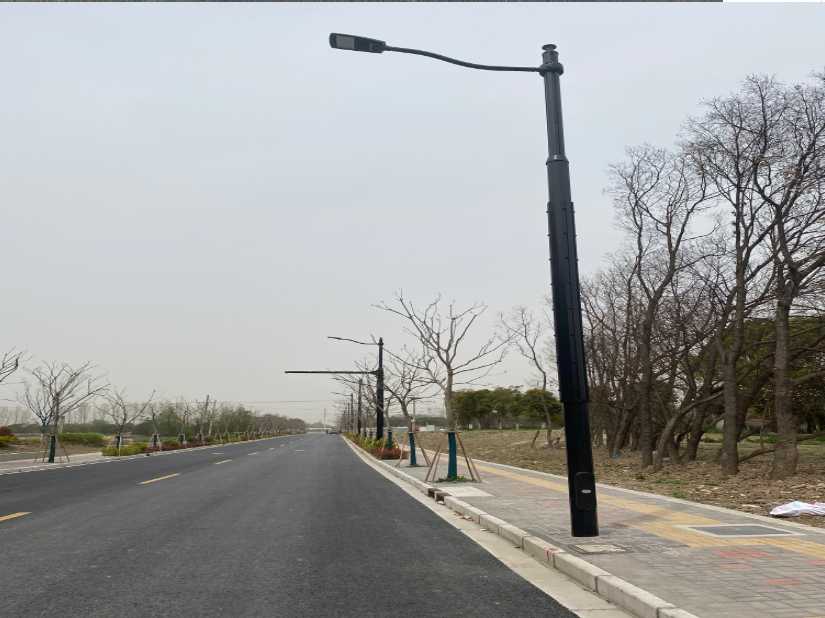 大理市上海综合杆 太阳能路灯工程